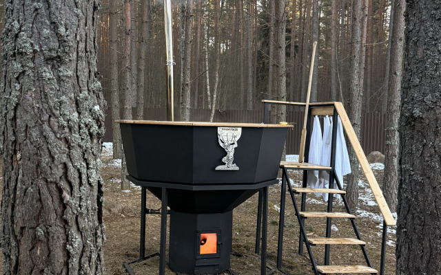 Частный дом с баней