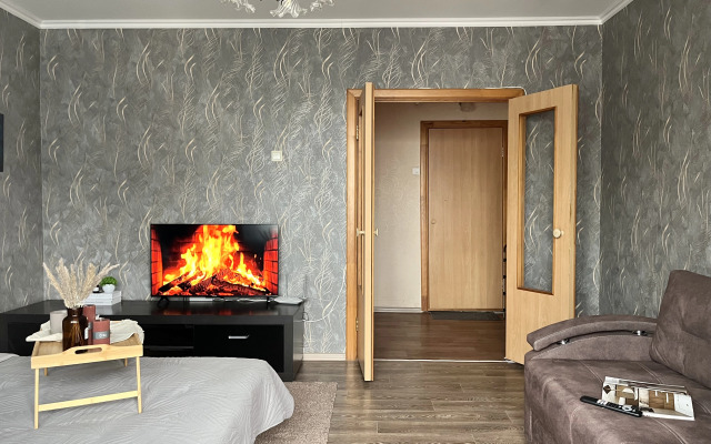 Квартира Просторная около Планеты