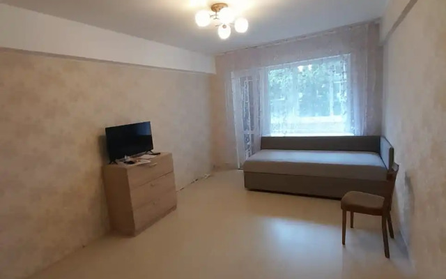 Dvuhkomnatnaya v tsentre goroda Flat