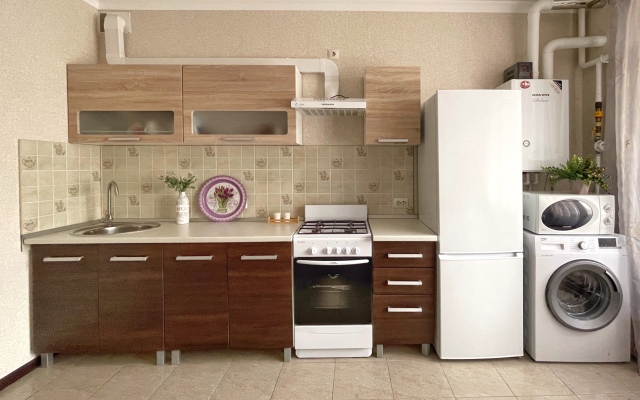 Двухкомнатные Апартаменты Люкс  на 9 человек в курортной зоне Ессентуков