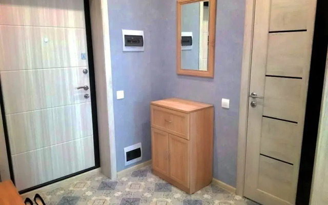 Апартаменты в центре г. Рязани на ул. Чкалова 18