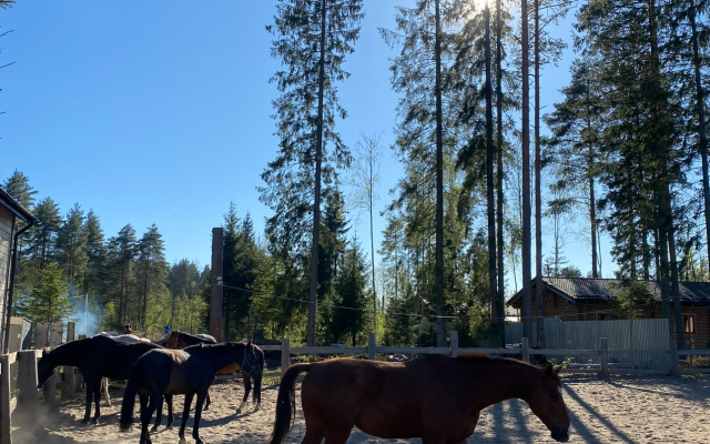 Частный Дом Teplo House 4