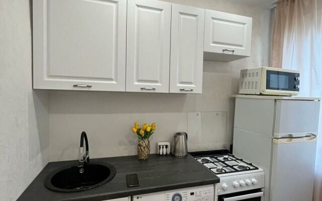 Апартаменты 1-комнатные с видом на Волгу (Бухта)