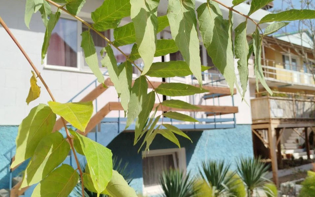 Отель Домик у моря