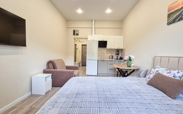 S Vysokimi Potolkami Apartments