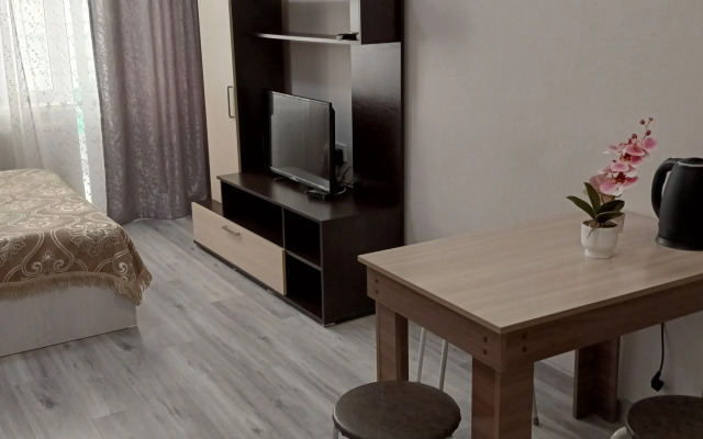 Na Vinogradnoy 22/1B Apartments