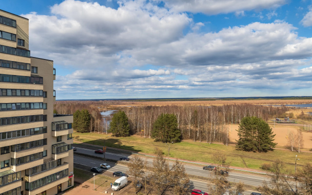 Kvartira S Shikarnym Vidom Na Ozero Razliv Apartments