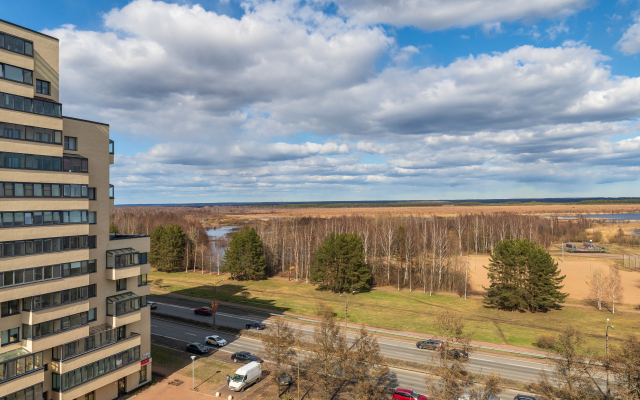 Kvartira S Shikarnym Vidom Na Ozero Razliv Apartments