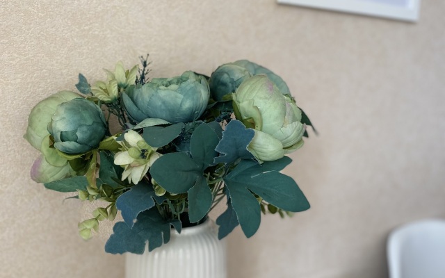 Квартира у Ледового дворца