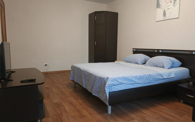 Уютная квартира на Московском проспекте 100