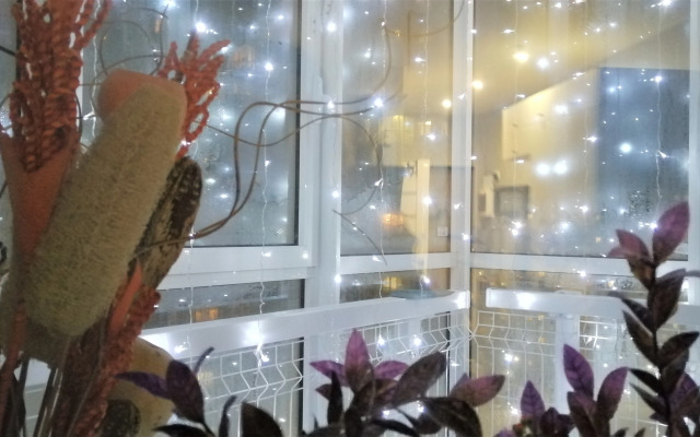 Квартира на Сургутском Проезде 1к1