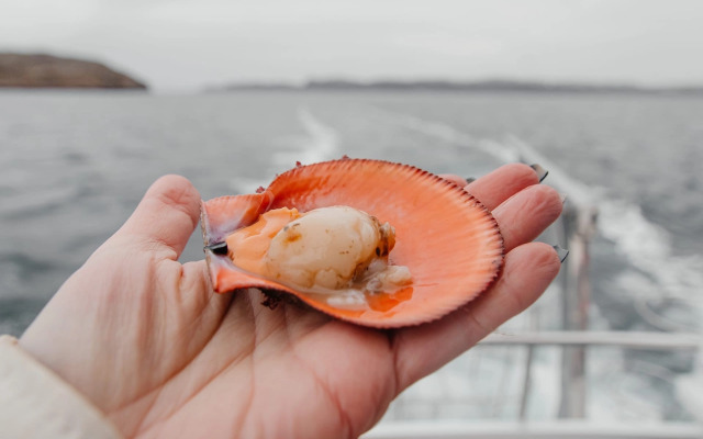 Гостевой дом усадьба Канентъявр