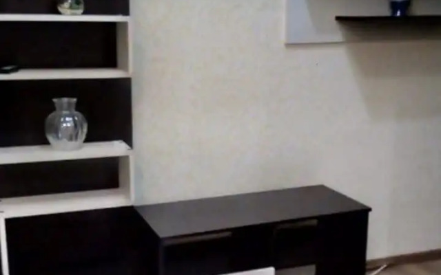 Studiya V Tsentre Flat