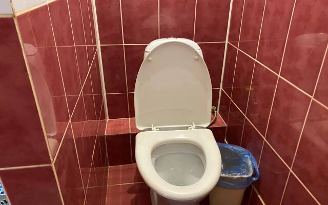 Aleksis Guest House