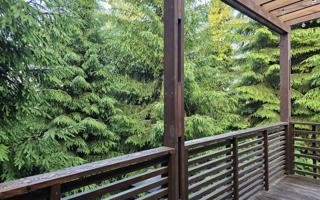 Коттедж Черничный Склон Forest House