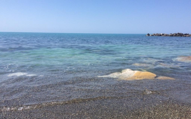 Tomichka Guest House