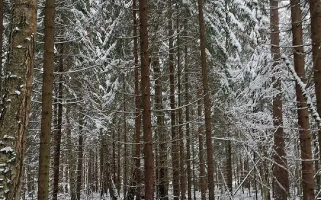Частный Дом на Учаcткe 61 Соткa