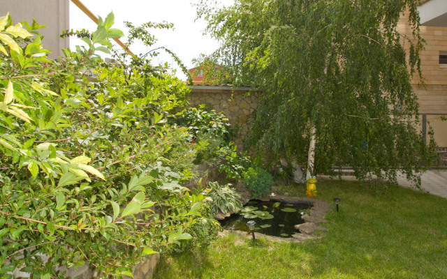 Golden Ledy Guest House