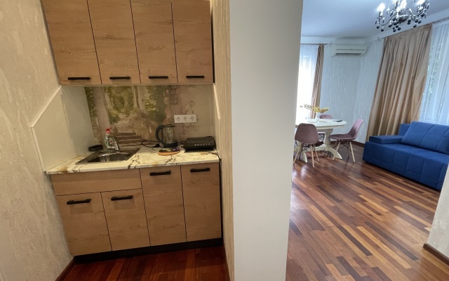 Studiya v Tsentre Goroda Flat