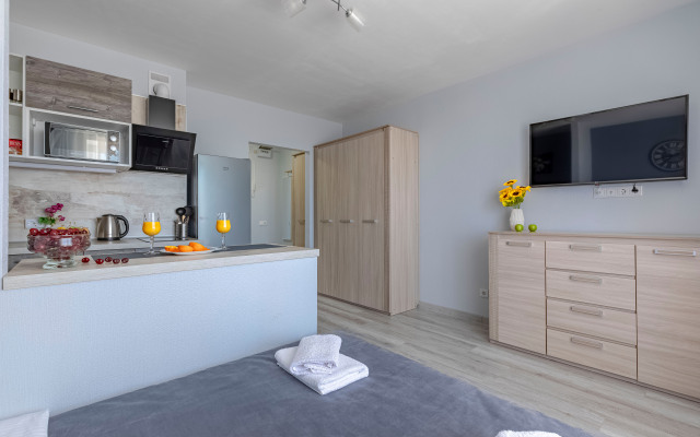 Квартира в Песочном