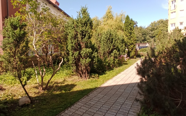 Kurortny Zelenogradsk Flat
