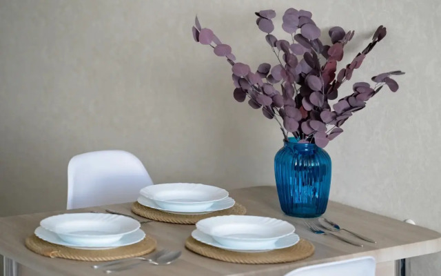 Dvuhkomnatnye Apartamenty Kak Doma 58 na Mira 44a