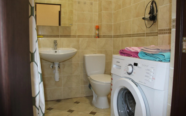 V Tsentre Goroda Flat