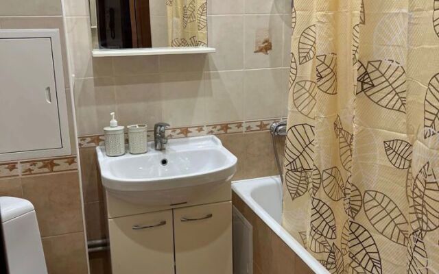 V Tsentre Goroda, Ryadom S Aeroportom Sheremetyevo Flat