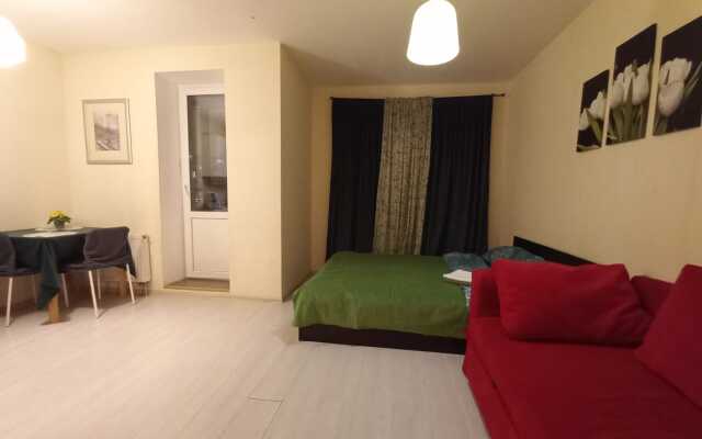 Comfortable apartments on Prazhskaya