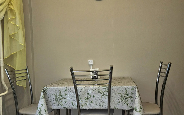 Квартира 1-комнатная квартира в расширенном центре рядом с Консерваторией