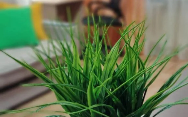 Квартира на Красильникова 46