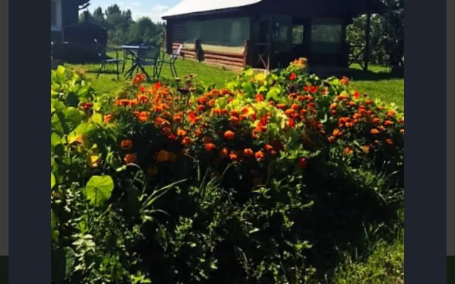 Гостевой дом Косохново