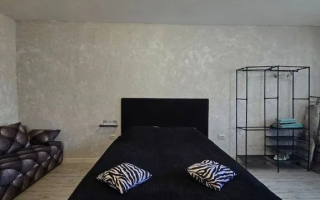 Komfortabelnaya Yevrostudiya v Tsentralnom Rayone Flat