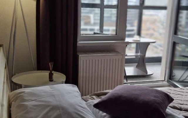 Квартира студия с видом на мост