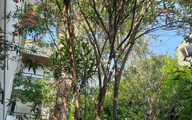 Гостевой дом Эвкалипт