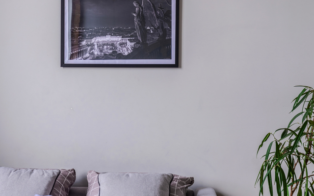 Komfort Nine View Studio S Vidom Na Nevu Apartments