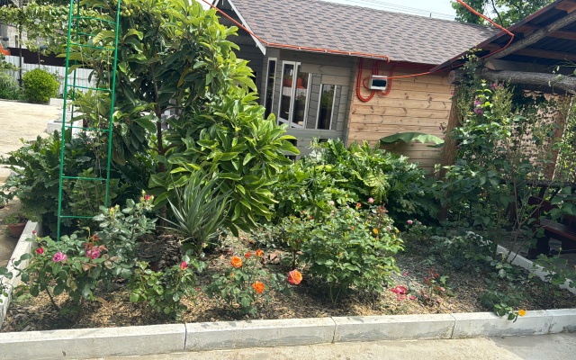 Avokado Guest House