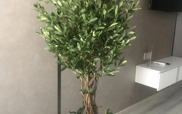 VIP Krasivye Glazki Flat