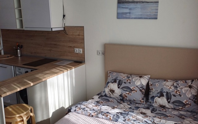 Comfort apartments near Belyaevo metro station