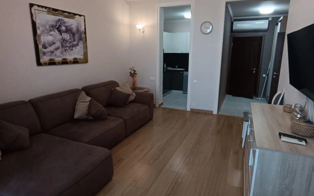Prostornye Apartamenty V Tsentre Sochi Naprotiv Tsirka Flat