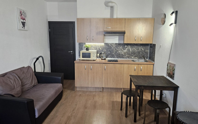 Studiya V Zhk Grinlandiya Na 4 Gostej Studio Flat