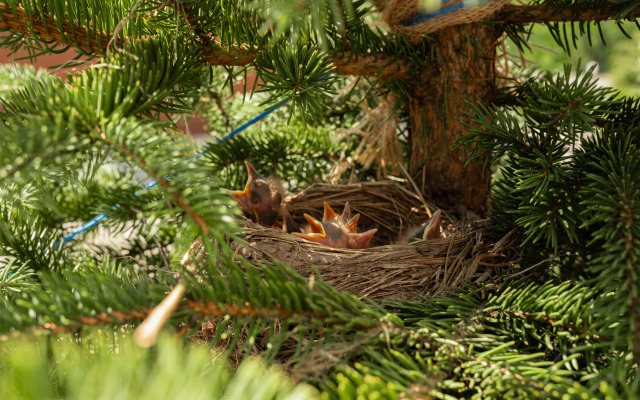 Гостевой дом Эко-отель Агдам