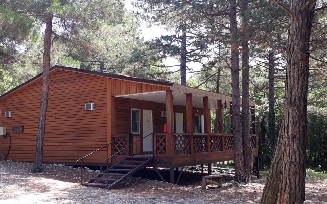 Zelyony Bor Recreation center