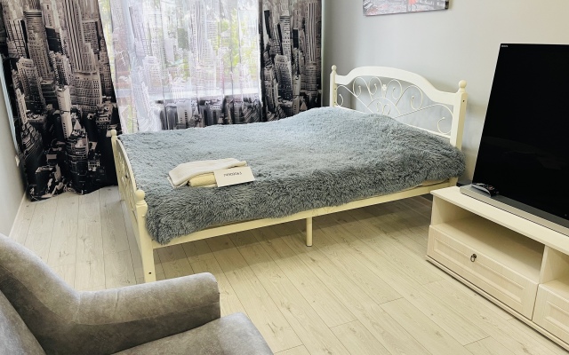 Апартаменты в Центре Района Амалиенау