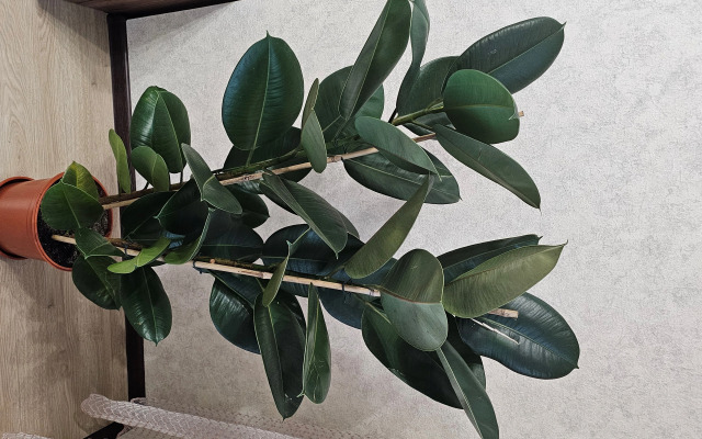 Апартаменты ЖК на Волге