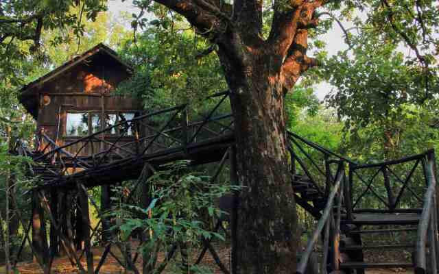 Жилое Помещение Pugdundee Safaris - Tree House Hideway