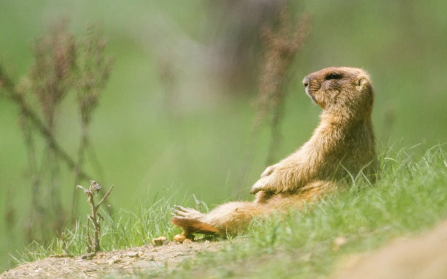 Природный Парк Олений