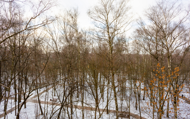 Квартира у метро Ховрино