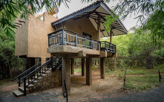 Pugdundee Safaris-king lodge Lodging house