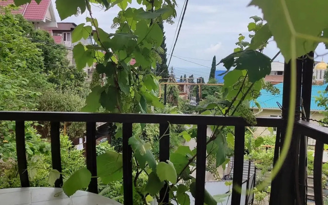 Pod Palmoy Guest House